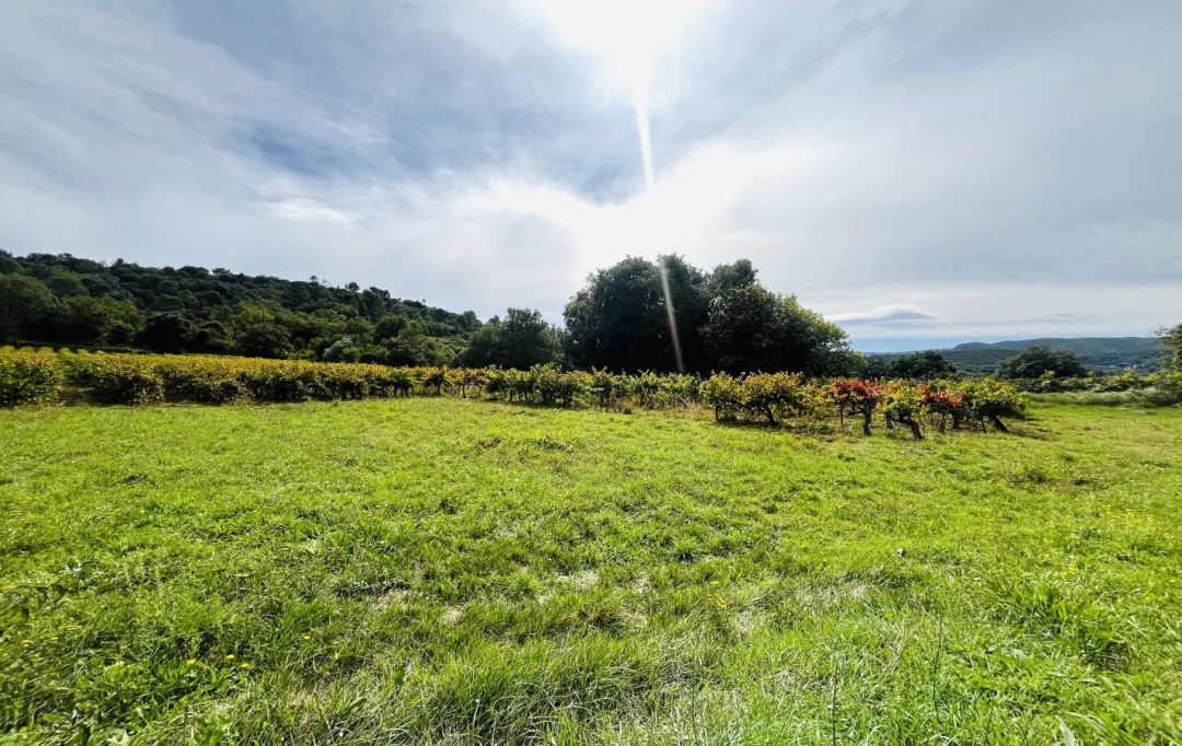 Annonces VALLEE DE LA CEZE : Ground | GOUDARGUES (30630) | 0 m2 | 255 600 € 